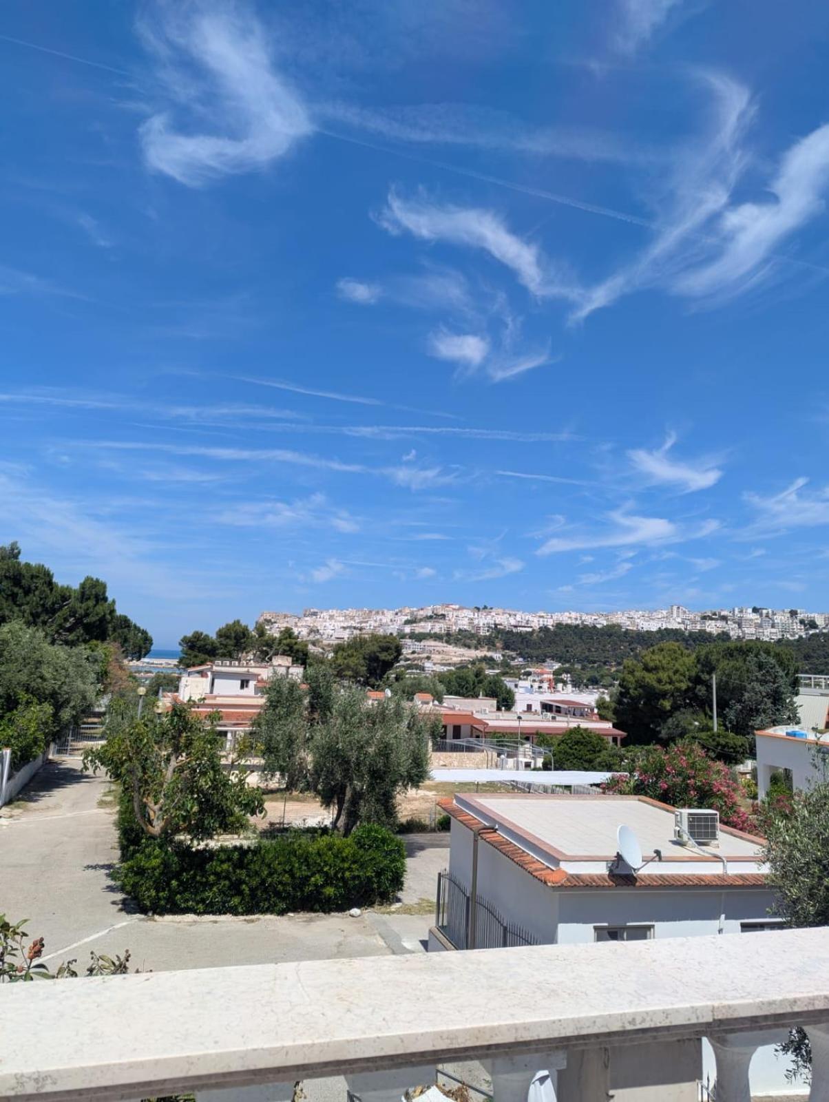 Luce Di Puglia