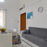 Dimora Del Delfino Curioso