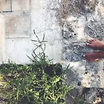 La Monacedda - Country Boutique Apartments - Villa Laura Ostuni