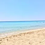 Il Fenicottero