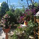 Secret Garden