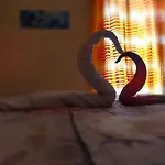 Sogni D'Oro