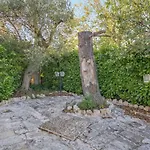 Charming House Near Monopoli With Terrace
