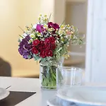 Suite Vitti 5 - Puglia Mia Apartments