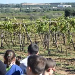 Masseria Belvedere