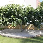 A Casa Di Sofia