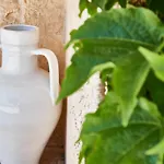 Equorum Prospectus 1 - Ostuni Centro - Guest House