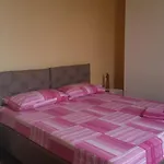 Casa Rose