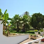 Summer'S House