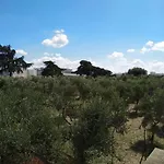 Casa Colucci
