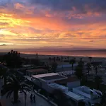 Margheritamare