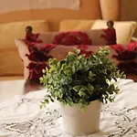 Giravolte Suite