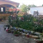 Bed And Breakfast Gherghina