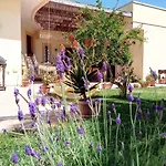 B&B Corbezzoli E Callistemon