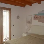 B&B Venus