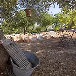Borgo Mediterraneo