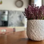 B&B Il Giglio Delle Dune