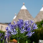 Trulli Oasi Fiorita - Exclusive Apulian Holidays