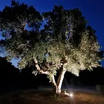 Villa Privata Adele, Luxury Escape With Pool, Apulia, Salento