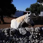 Trulli Momentino