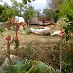 Il Trullo