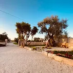 Guardian'S House
