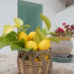 I Trulli Di Mina - Trullo Girasole
