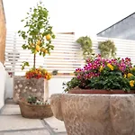 Palestro 5