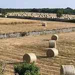 Masseria Chianca - Le Rose