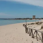 Tenuta Il Fico