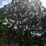 Villa Vacanze Il Parco Alberato