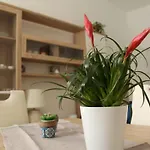 Ohana: Casa Nel Centro Di Lecce