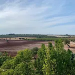 Country Landscape