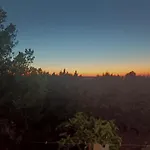Country Landscape