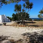 Trullammare