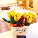 B&B Villa Maria Di Venere
