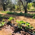 Il Giardino Degli Angeli