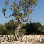 Trullo Carsico By Itriahomes