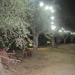 Tenuta Innocenzi
