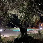 Le Radici