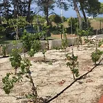 Villa Baia Del Pizzo By Salento Affitti