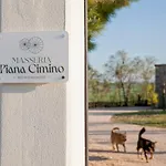 Masseria Piana Cimino