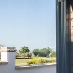 Masseria Piana Cimino