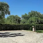 Dragonfly B&B