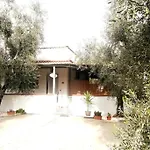 L'Uliveto Di Nonno Piero