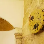 Palazzo Saraceno Apartments-Antica Mangiatoia