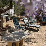 Pajara Chicca