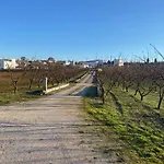 Trullo Della Selva