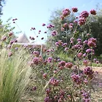 Trulli Alla Fontanella, Con Piscina Privata