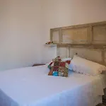 Signora Minu Bilocale Semindipendente